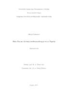 Boko Haram i kršenja međunarodnog prava u Nigeriji